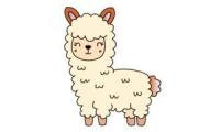 How to draw an alpaca