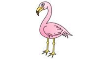 How to draw a flamingo