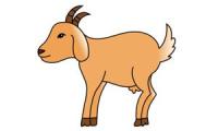 How to draw a goat