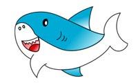 How to draw a shark