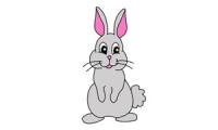 How to draw a Rabbit