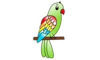 How to Draw a Parrot