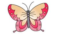 How to draw a butterfly