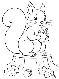 Squirrel with an Acorn