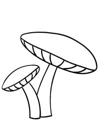 2 mushrooms