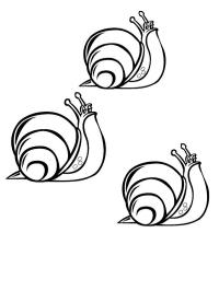 3 snails