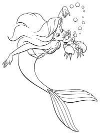 Ariel and crab Sebastian