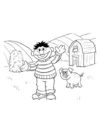 Ernie on the farm