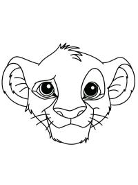 Simba's Face