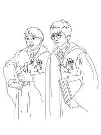 Harry Potter and Ron Weasley