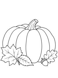 Fall Pumpkin