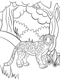 Cheetah in the woods