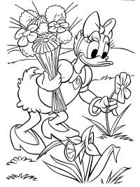 Daisy Duck picks flowers