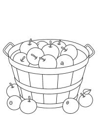 Basket with apples