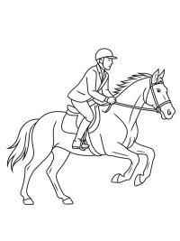 Horse galloping with rider