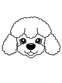 Poodle head