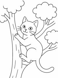 Cat climbs a tree