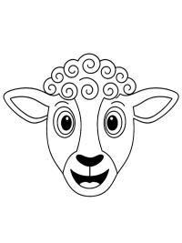 Face sheep