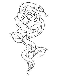 Snake and Rose Tattoo