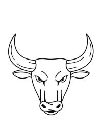 Bull head
