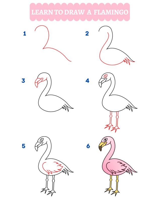 How to draw a flamingo