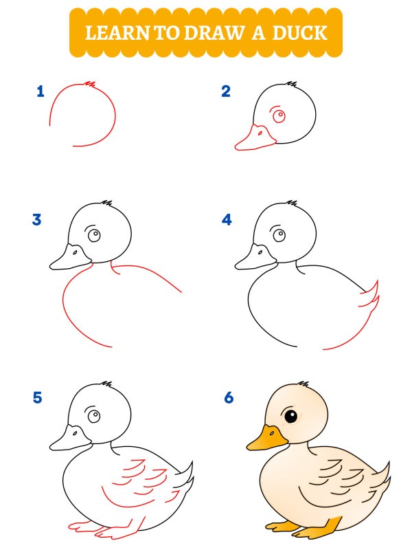 How to draw a duck
