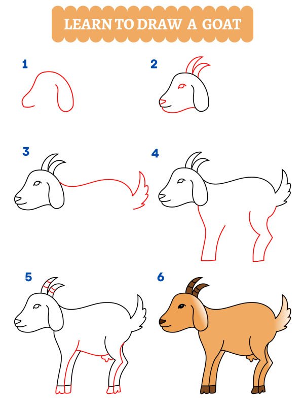 How to draw a goat