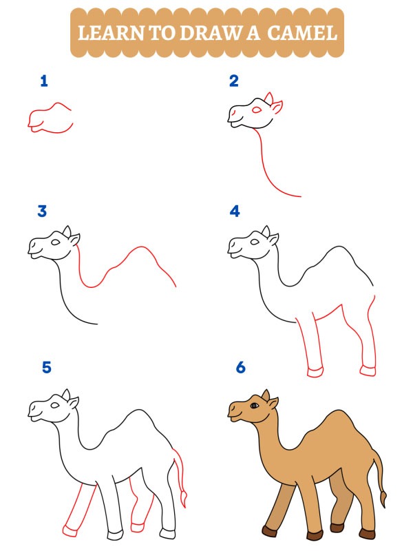 How to draw a camel