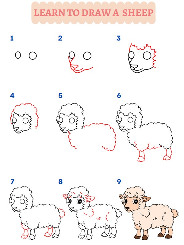 How to draw a Sheep