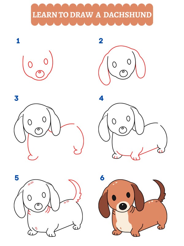 How to draw a dachshund