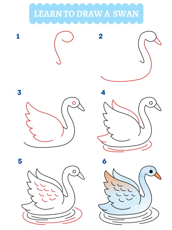 How to draw a swan