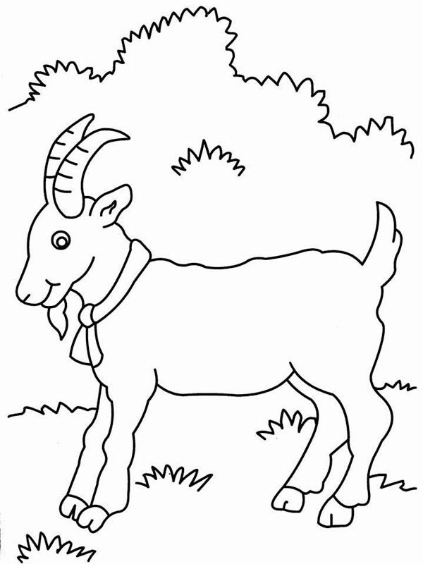 Goat Colouring page