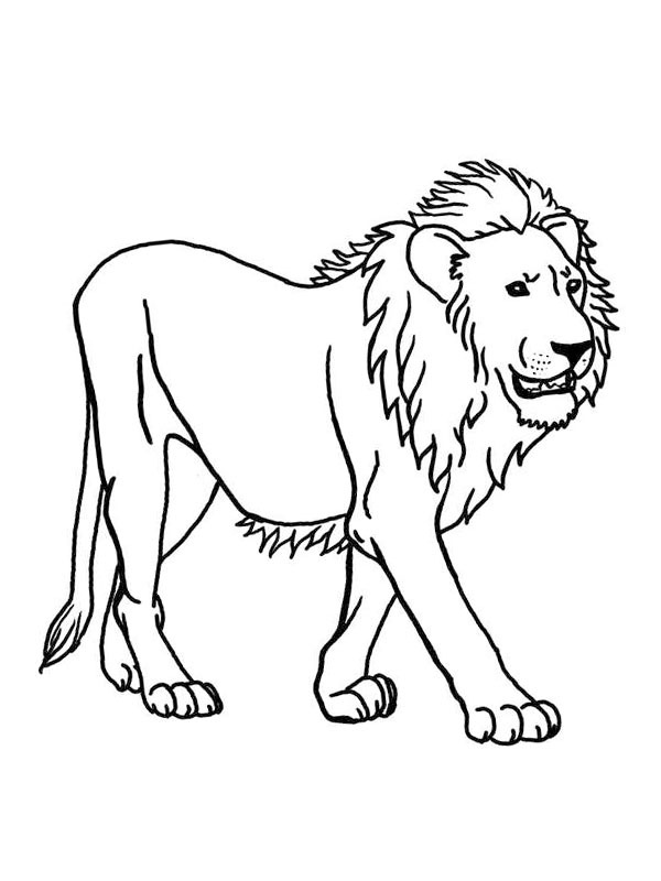 Lion Colouring page
