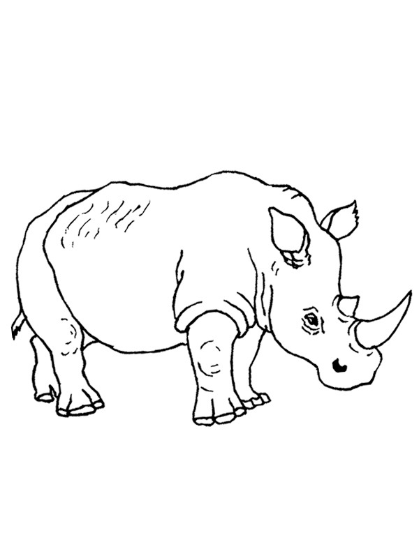 Rhino Colouring page