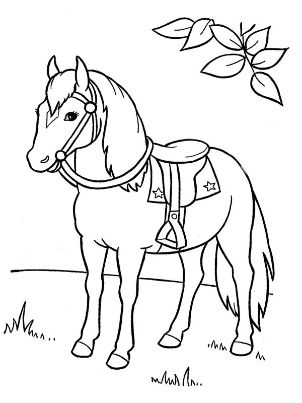 Horse Colouring page
