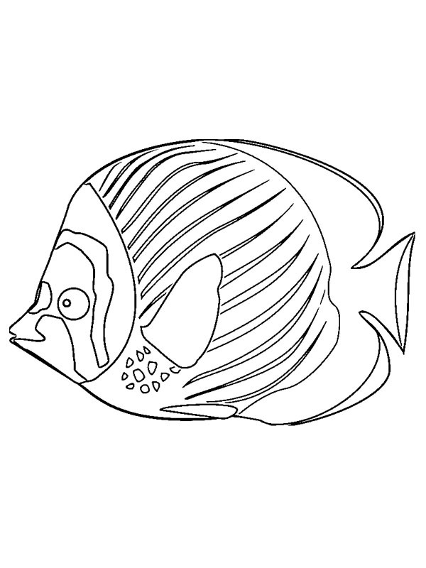 Fish Colouring page