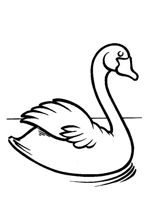 Swan Colouring page