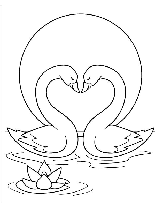 Two swans in love Colouring page