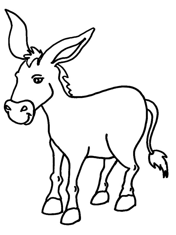 Colour Donkey. or colour one of our 6. 