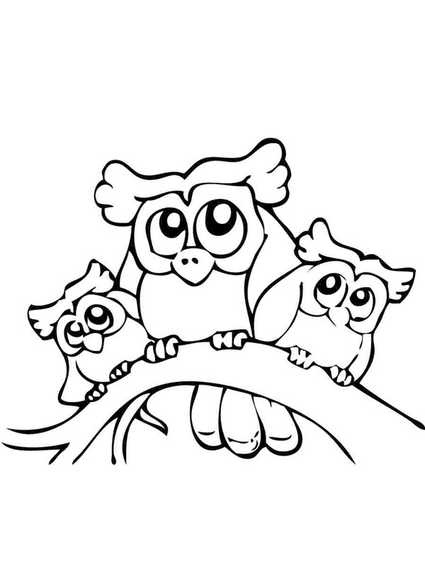 3 Owls Colouring page