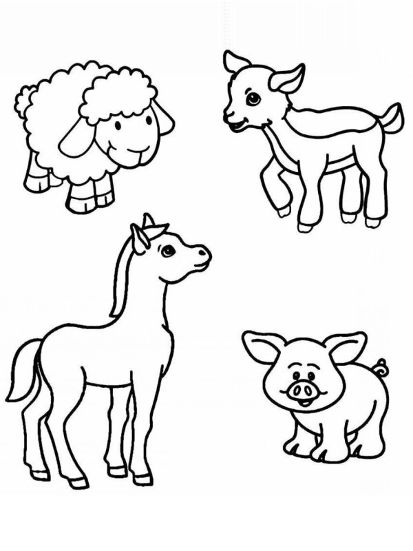 4 farm animals Colouring page