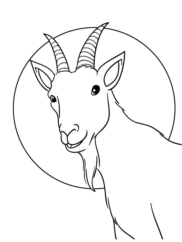 Goat Colouring page