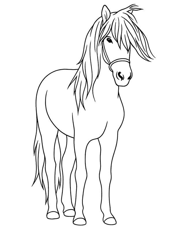Aegidienberger Colouring page