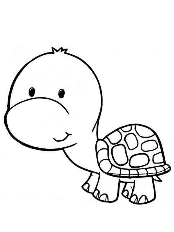 Baby Turtle Colouring page