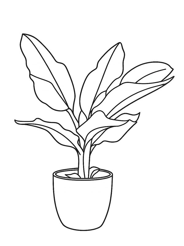 Banana plant Colouring page
