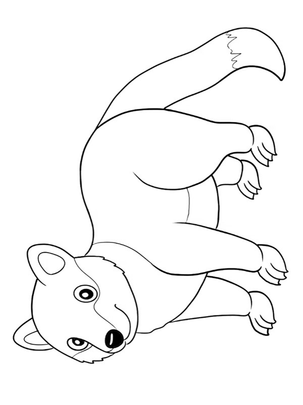 Binturong Colouring page
