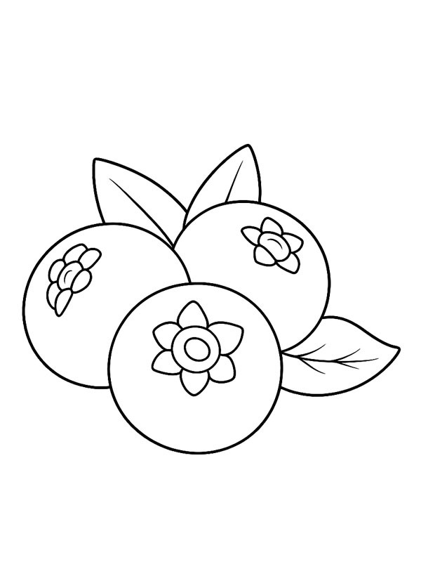 Blue berries Colouring page