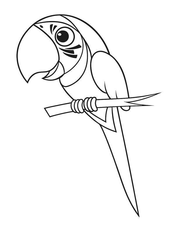Blue and yellow macaw Colouring page