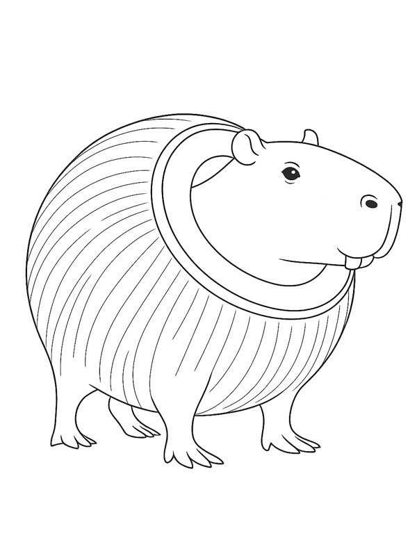 Bobrini Cocosini (Italian Brainrot) Colouring page