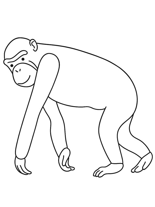 Bonobo Colouring page